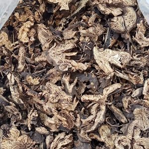 Black Cohosh