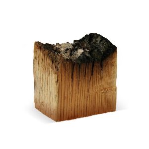 Burnt Wood Fragrance Oil